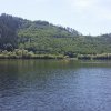 "Drachenschwanz"